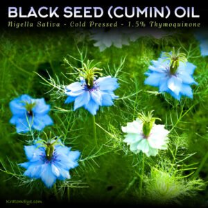 Black Seed Oil Capsules | Enhancing & Remedial Herb - Image 3