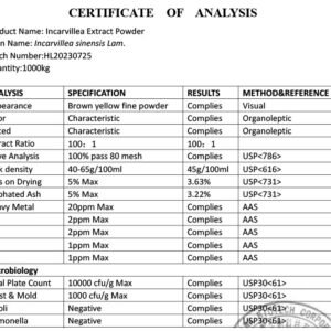 Incarvillea Sinensis 100:1 Extract / Concentrate - Image 4