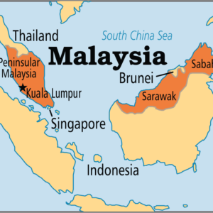 Alternative view of Super Green Malay Kratom