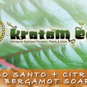 Kratom Soap (w/Palo Santo, Citrus, Bergamot, Natural Oils) | Extremely Exfoliating & Cleansing - Image 3