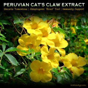 Peruvian Cat’s Claw Extract Powder | Adaptogen | Tolerance