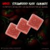 Strawberry Kush (Hybrid) | CBD & Delta-9-THC – 1:1 Ratio