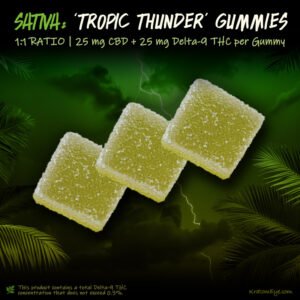 Tropic Thunder (Sativa) | CBD & Delta-9-THC – 1:1 Ratio