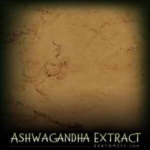 Alternative view of Ashwagandha Extract (3%) – Withania Somnifera