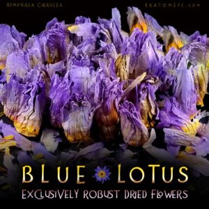 Blue Lotus Dried Flowers – Nymphaea Caerulea - Image 4