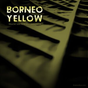 Borneo Yellow Vein Kratom