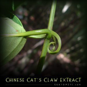 Chinese Cat’s Claw Extract (20:1 Concentration) – Uncaria Rhynchophylla