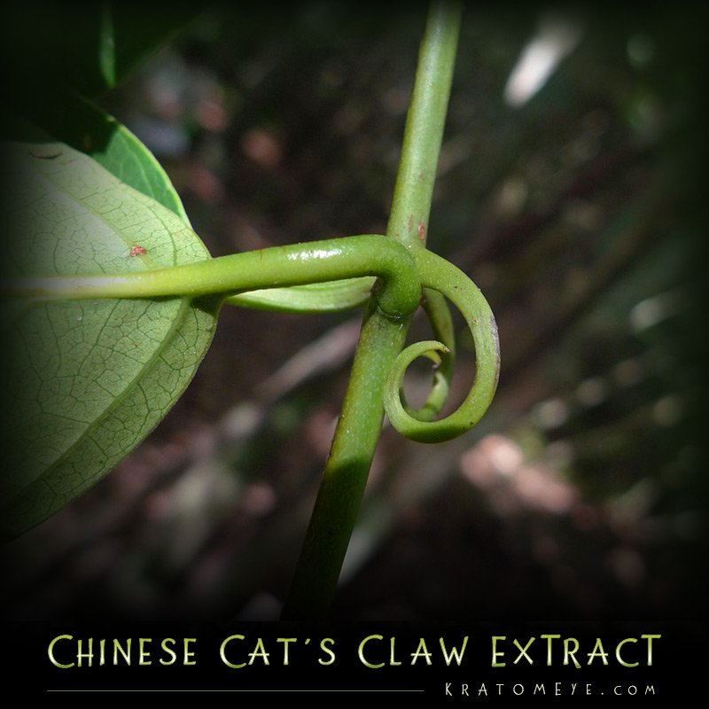 Chinese Cat’s Claw Extract (20:1 Concentration) – Uncaria Rhynchophylla