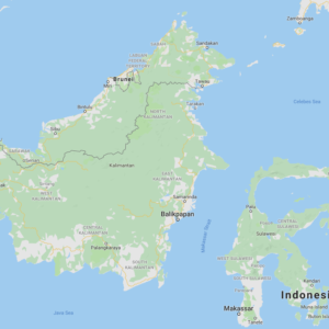 Alternative view of Green Vein Dayak Kratom