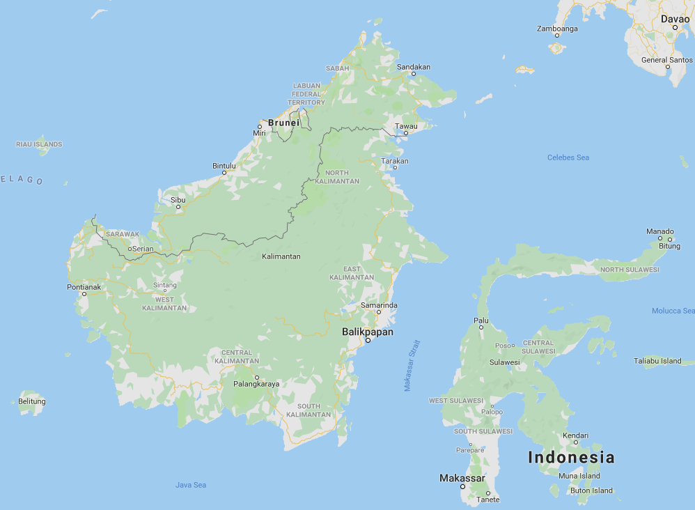 Green Vein Dayak Kratom - Image 2