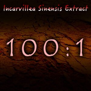 Alternative view of Julie Hammitt – Incarvillea Sinensis 100:1