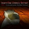 Julie Hammitt – Incarvillea Sinensis 100:1
