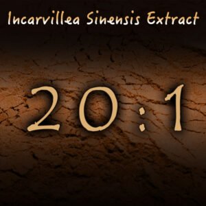 Julie Hammitt – Incarvillea Sinensis 100:1 - Image 3
