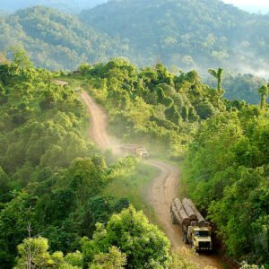 White Horned Kratom – Highest Quality - Image 3