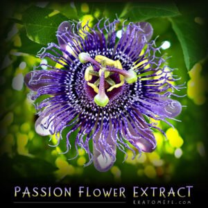Passion Flower Extract (20:1 Concentration) – Passiflora Incarnata