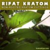 RIFAT THAI – Non-Rooted Kratom Plant Cuttings:
