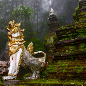 Red Elephant Kratom - Image 4