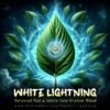 White Lightning (Red & White Blend)
